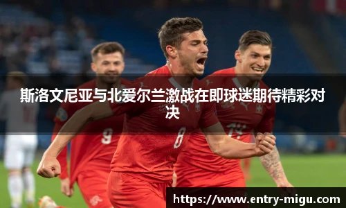 斯洛文尼亚与北爱尔兰激战在即球迷期待精彩对决